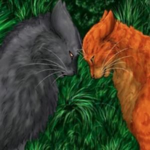 Meet your Posher, Kaley